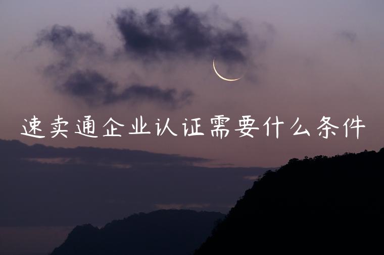 速賣通企業(yè)認證需要什么條件